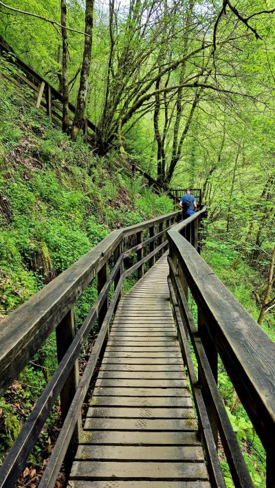 Birks of Aberfeldy Daktent op Reis